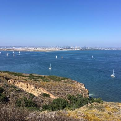 San Diego coast with sail boats